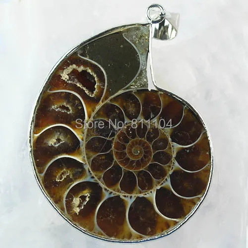 Natural Ammonite stone Bead Jewelry Necklace Pendant Bead 10 pieces/lot