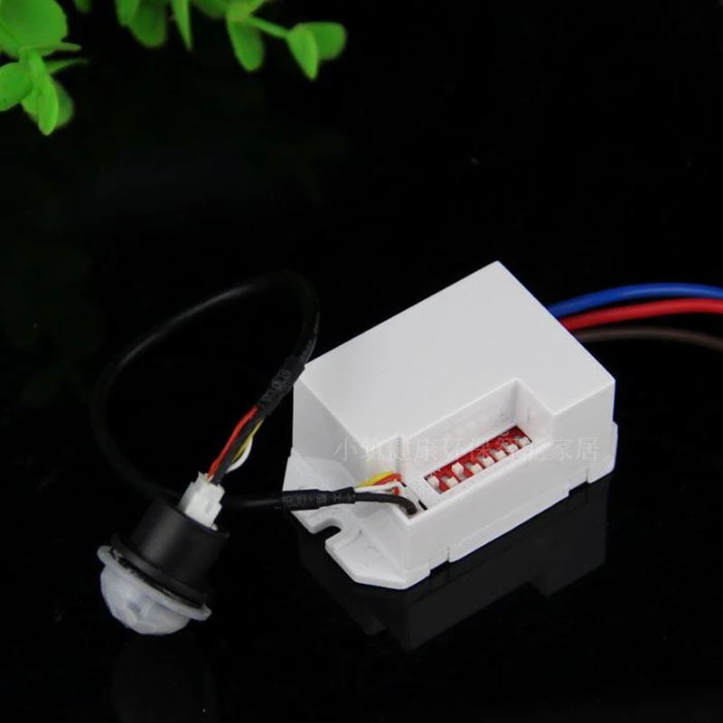 110V-240V PIR motion sensor switch module Body Sensor Intelligent Light Lamps Motion Sensor with the probe