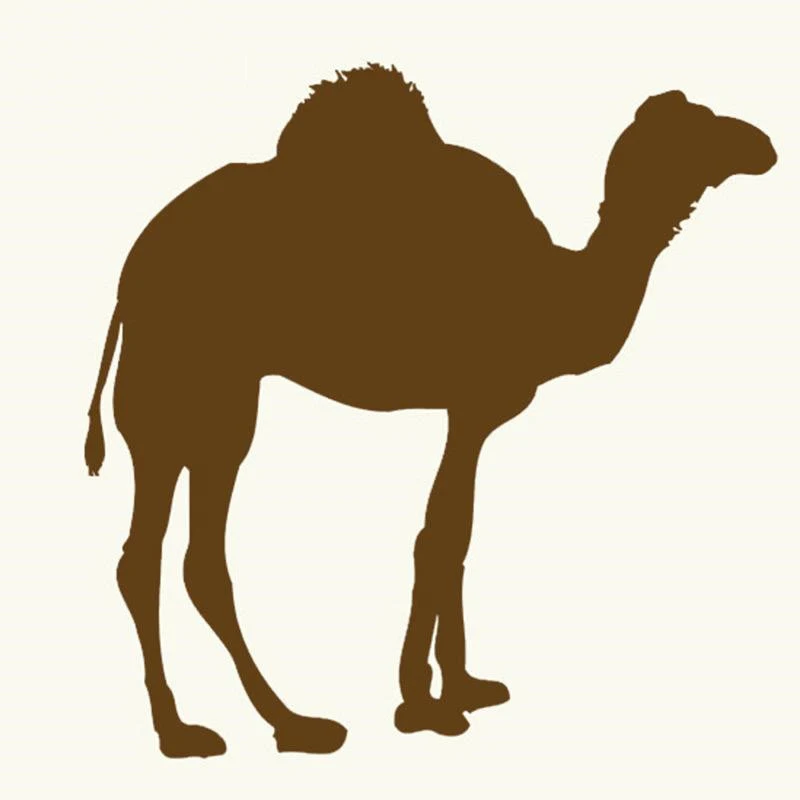 Car Sticker Dromedary Pattern Cute Wildlife Camel Car Decoration Truck Window Bumper Door Laptop Vinyl Decal 13*11 cm