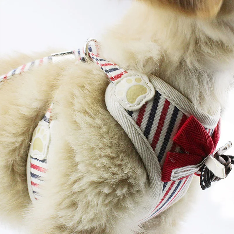 Soft Mesh Dog Harness Stripe Pet Puppy Dog Cat Harness Leash Set Cute Lace Pet Vest for Small Medium Dogs Chihuahua Yorkie Teddy