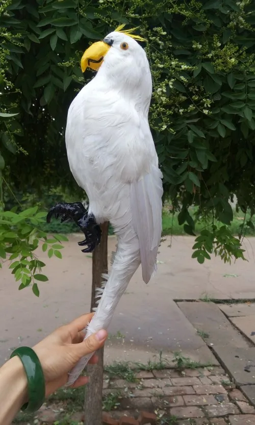 Simulation animal 45cm white Parrot feather bird model toy,polyethylene&furs Resin handicraft,props,decoration d0314