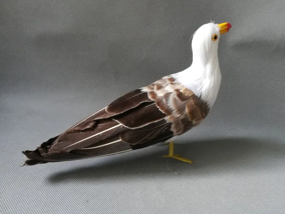 about 25x18cm real life Bird  feathers bird seagull model home decoration filming prop decoration toy gift h1055