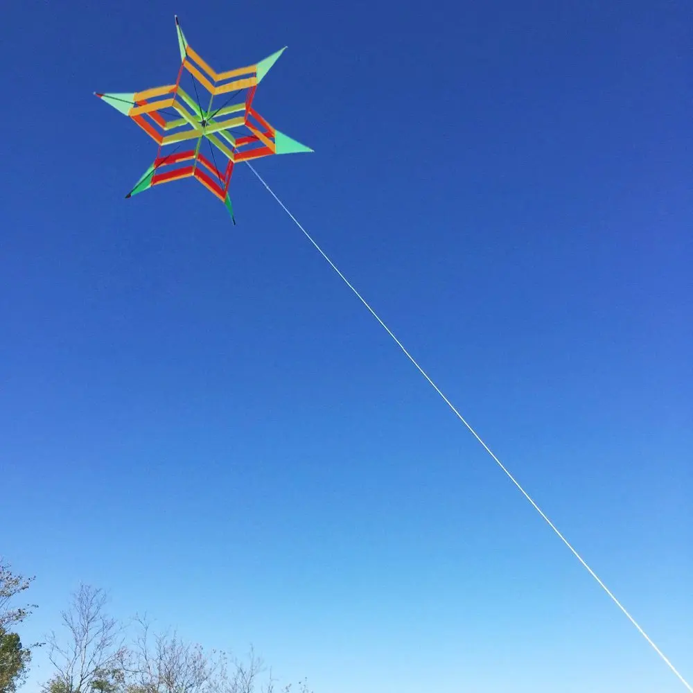 New Arrive New Style 3D Flower Kite With Handle & Line Good Flying