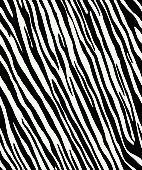 Zebra white and black wall  backdrops  High quality Computer print children kids background