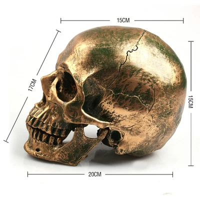 1: 1 human skull model life size resin skull model art teaching human skeleton model bronze color free shipping