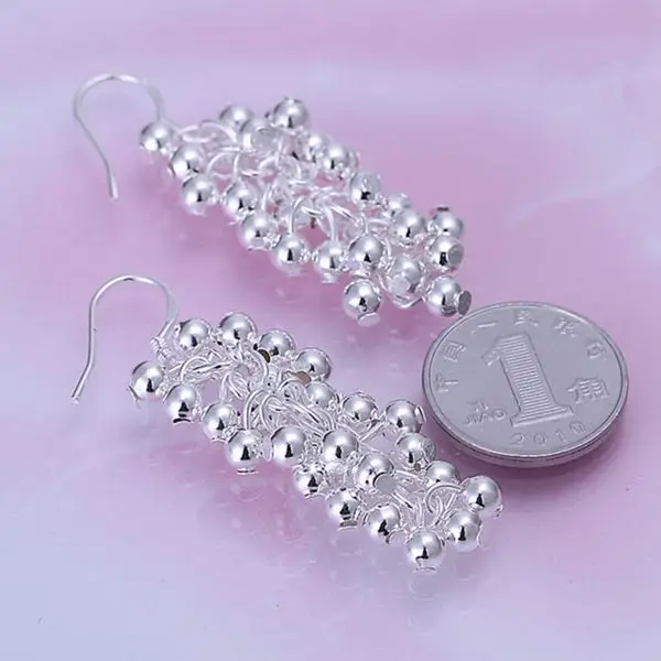 Earrings 925 Silver Earrings 925 Silver Trendy Jewelry Earrings Purple Beans Jewelry Wholesale Free Shippig amzn LE008