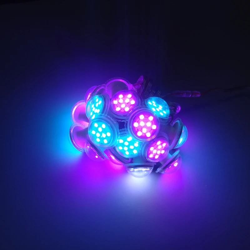 12V 38mm 9LEDs UCS1903 RGB LED Pixel Module Light 5050 SMD Amusement Ride LED Lights Diameter 38mm 9LEDs/Module Waterproof IP67