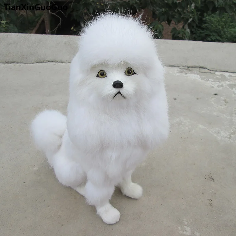 

simulation squatting poodle dog 23x12x31cm hard model,polyethylene&furs white poodle handicraft Ornament Decoration gift s0715