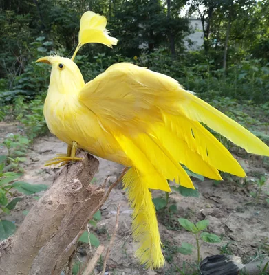 20x28cm yellow feathers Phoenix artificial bird model handicraft,prop,home garden decoration gift p2800