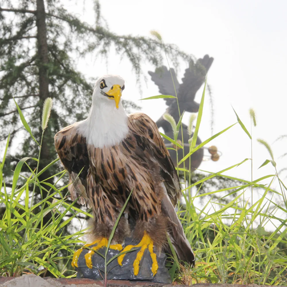 ZILIN Highly Vivid Bald Eagle With Real Feather Handmade Bald Eagle Delicate Home Decor, 30*20*25 cm