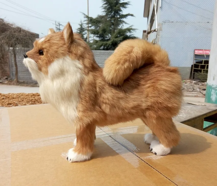 large 28x10x25 cm simulation Pomeranian toy lifelike & real furs dog model home decoration gift t163