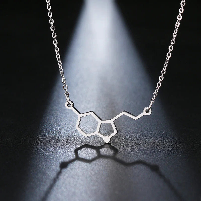 DOTIFI Stainless Steel Necklace For Women erotonin Molecule Chemistry Geometric Polygon Pendant Necklace Engagement Jewelry