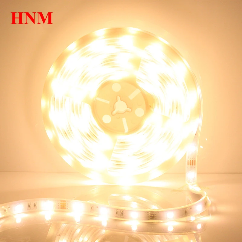 12V 30LEDs/m SMD 5050 LED Strip Light Flexible Tape LED Lights Waterproof IP67 Red Green Blue Yellow White Orange Violet Purple