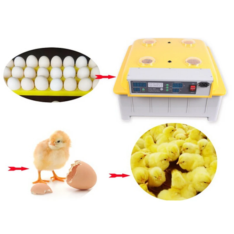 1pc 48 Eggs Digital Clear Egg Incubator Hatcher Automatic Turning Temperature Control