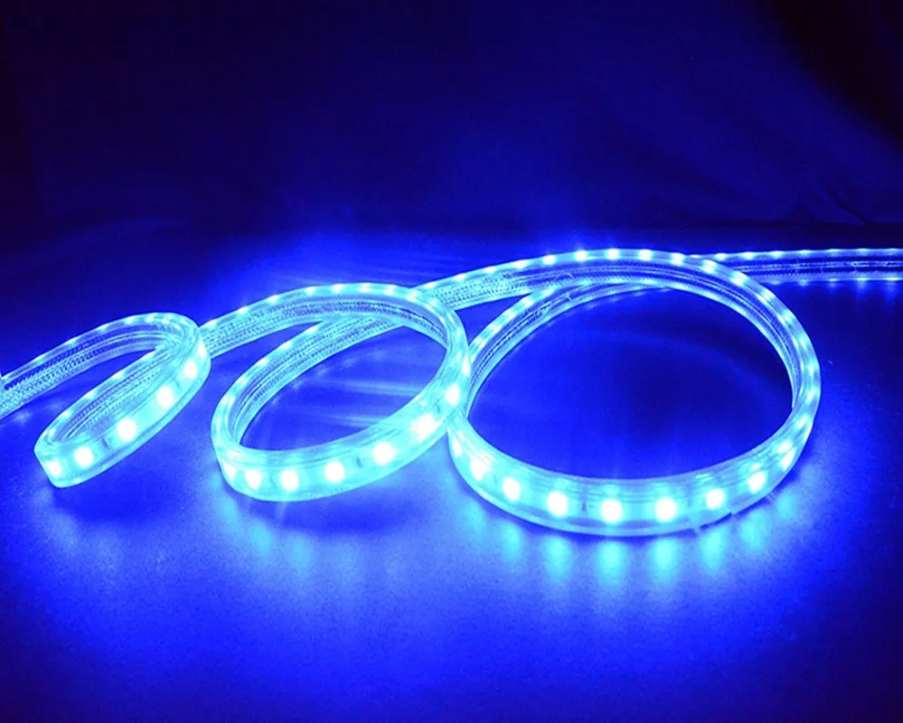 

5050 Flexible LED Strip light AC220V 60leds/m Waterproof IP67 Led Tape Blue color LED Light With EU Power Plug 50M