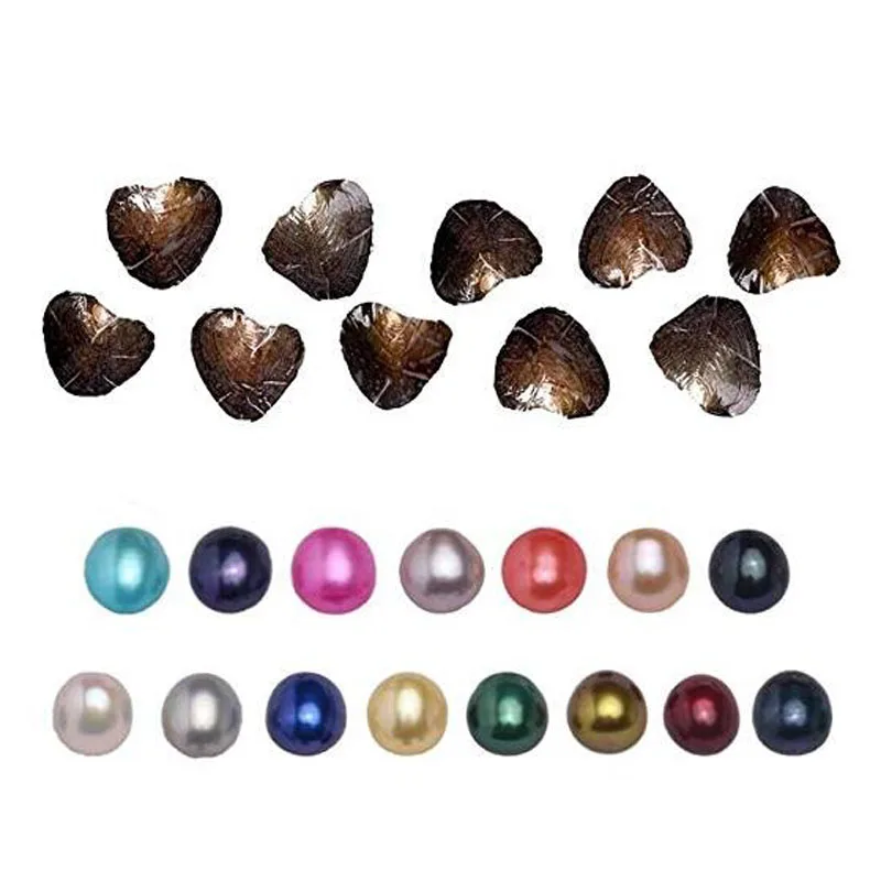 Wholesale Vacuum Packed Fresh Water Mussel Oyster with Single 6-7mm AAA Colored Natural Oval Pearl