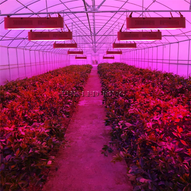 

200W 600W 2000W Full Spectrum Panel LED Grow Light AC85~265V Greenhouse Horticulture Grow Lamp for Indoor Plant Flowering Growth