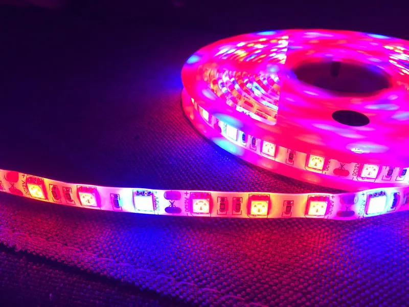 

12V R&B Full Spectrum 5M 300Led SMD5050 Strip Light Plant Grow IP65 Waterproof Aquarium Hydroponic Flower fill lamp Red:Blue=3:1