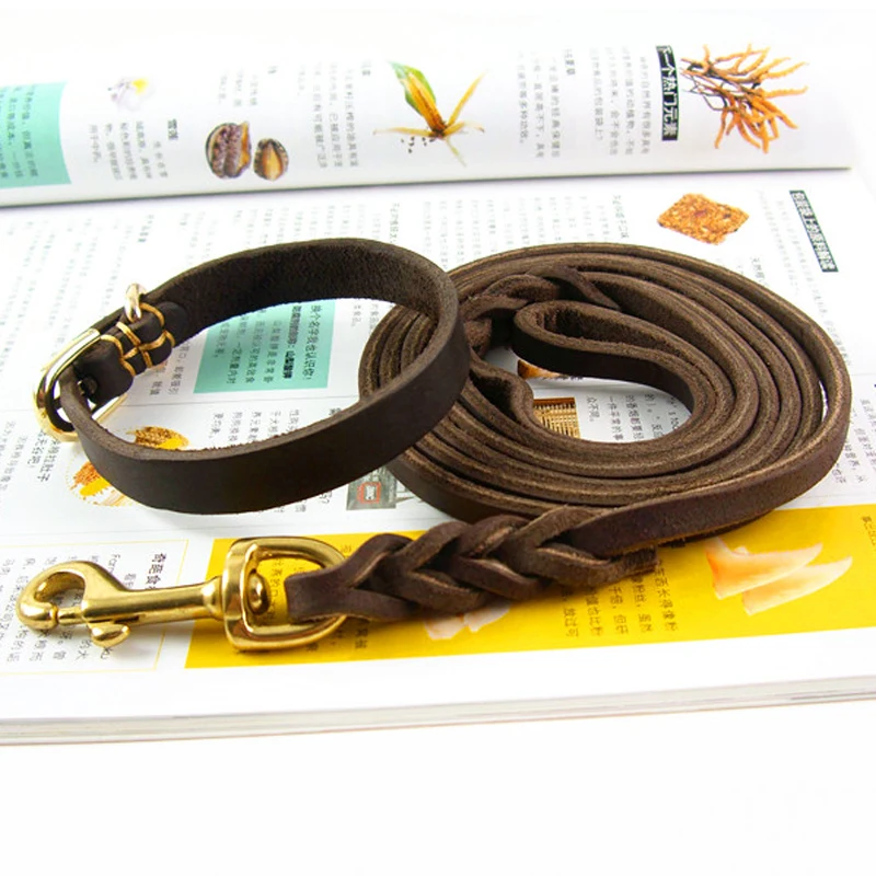 Braided Leather Dog Collar Leashes Set Small Dog Necklace Walking Chain Sturdy Sewing Lead Pet Accessories