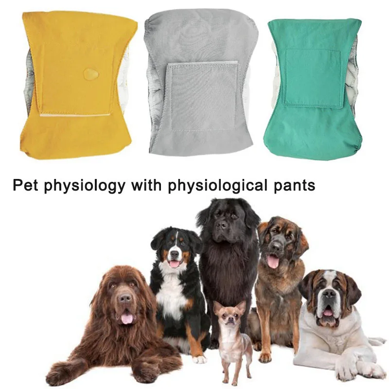 Newly reusable male pet dog diaper pants simple menstrual hygiene diaper pet supplies XS-XXL Physiological Pants Hygienic Waterp