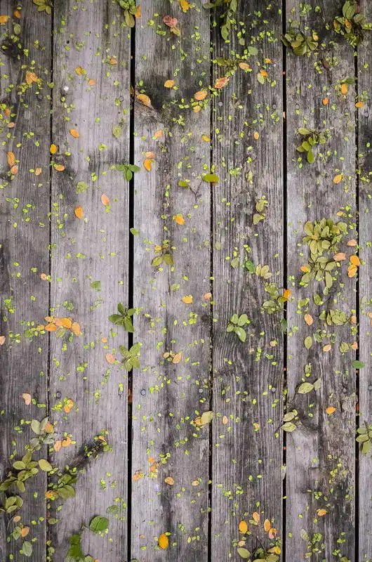 

5x7ft Green Leaves Branch Grey Wood Wall Washable One Piece No Wrinkle Banner Photo Studio Background Backdrop Polyester Fabric