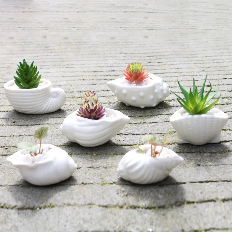 6pcs/Lot Cute Shell Conch Shape White Ceramic Mini Flowerpot Planter Green Succulent Plants Bonsai Flower Pot Home Decor