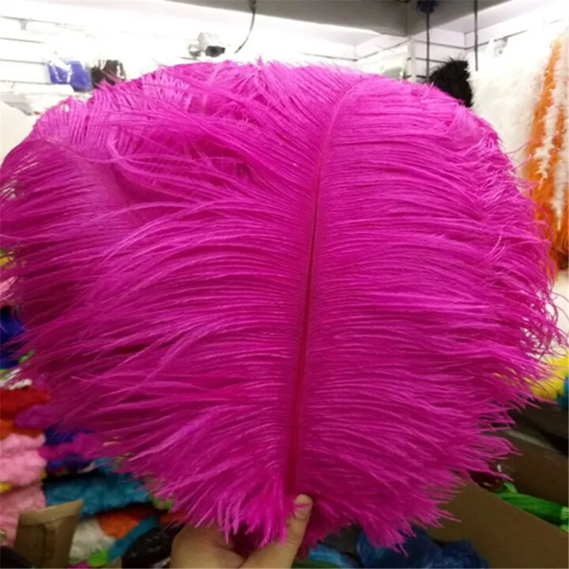 Beautiful ostrich feather 100 PCS feather length 10 - 12 inches / 25 - 30 cm of wedding to decorate a variety of color optional