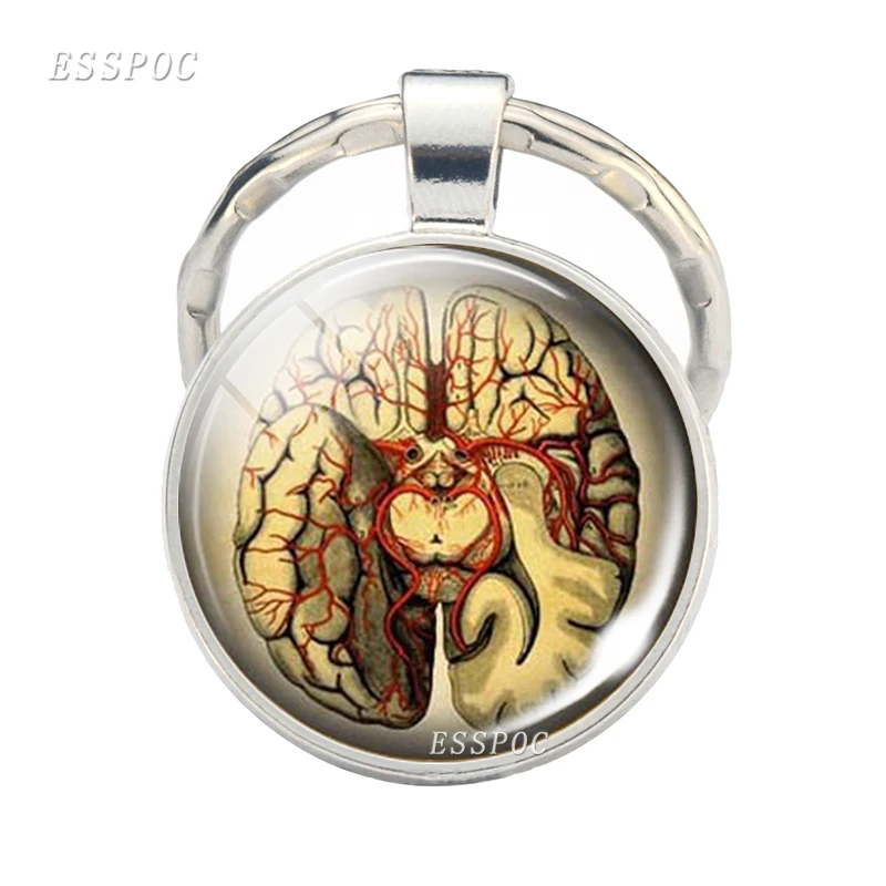Brain Shell Keychain Brain Jewelry Medical Brain Picture Glass Cabochon Keychain Gift for Doctors and Nurses Medical Students