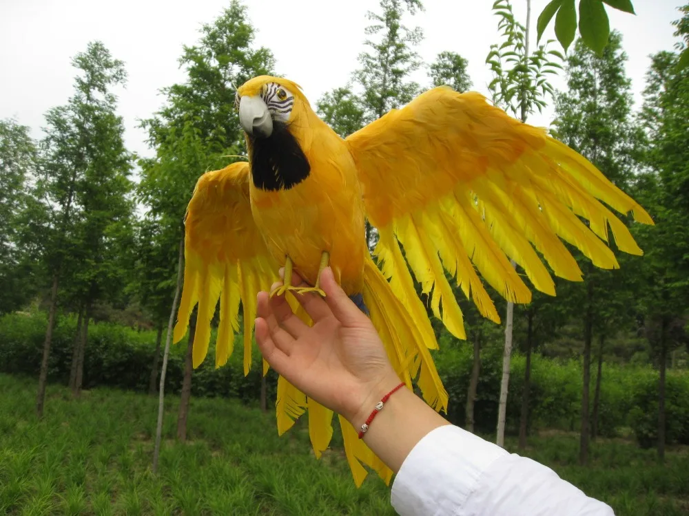 large 45x60cm yellow feathers spreading wings parrot ,polyethylene&feathers bird handicraft,garden prop decoration gift a2428