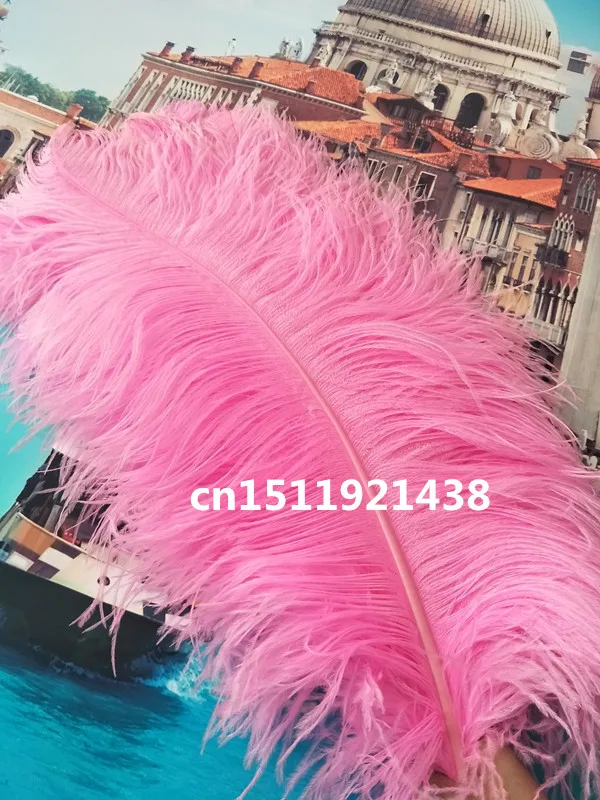 Perfect 20pcs 70-75cm / 28-30inch natural pink ostrich feathers wedding decoration DIY stage performance Clothing accessories