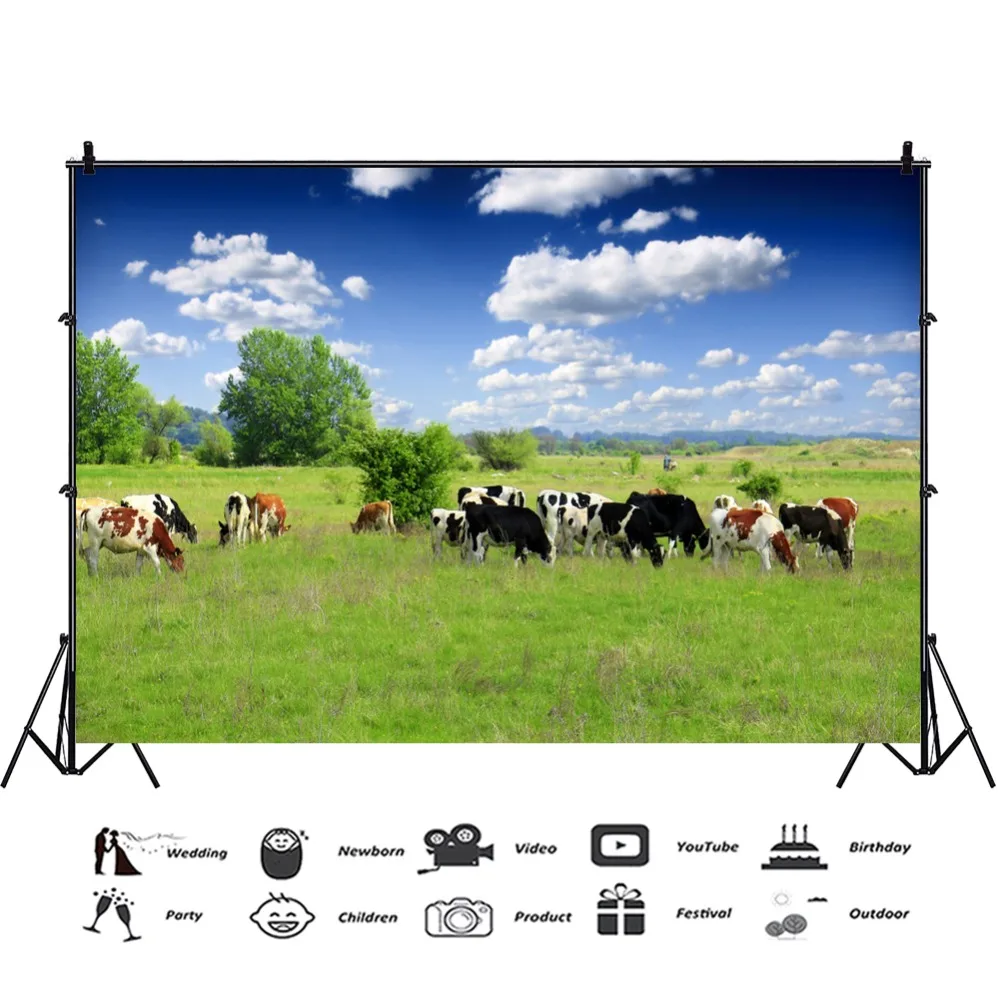 Laeacco-خلفية للتصوير الفوتوغرافي ، خلفية خضراء للمزرعة ، المراعي ، بقرة ، السماء الزرقاء ، غائمة ، ذات المناظر الخلابة ، لالتقاط الصور ، استودي...