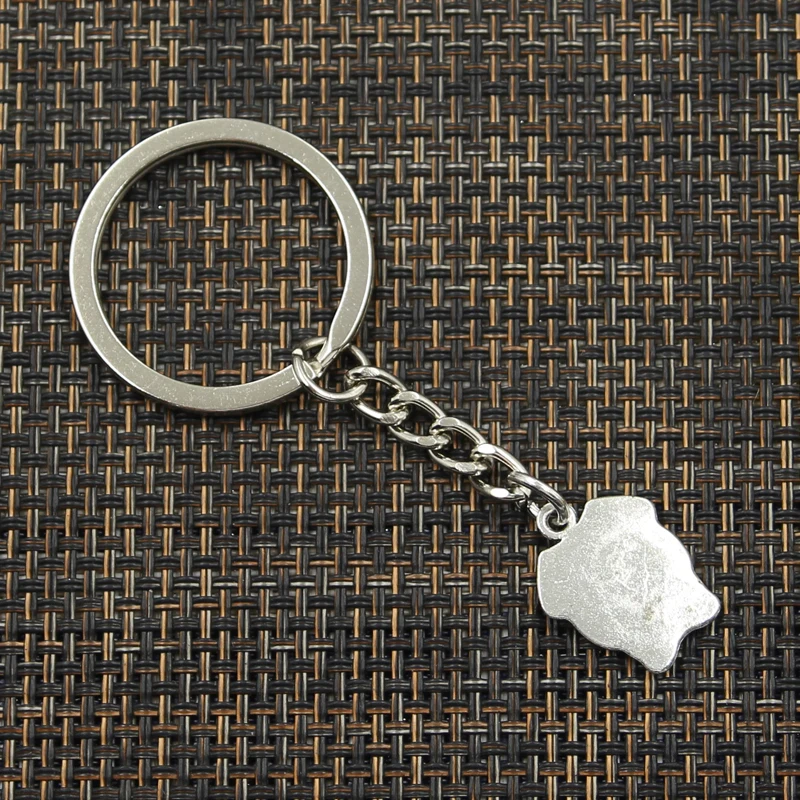 Di modo 30 millimetri Anello Chiave del Metallo Keychain Della Catena Chiave Dei Monili di Bronzo Antico di Colore Argento Placcato Pig 20x15mm del