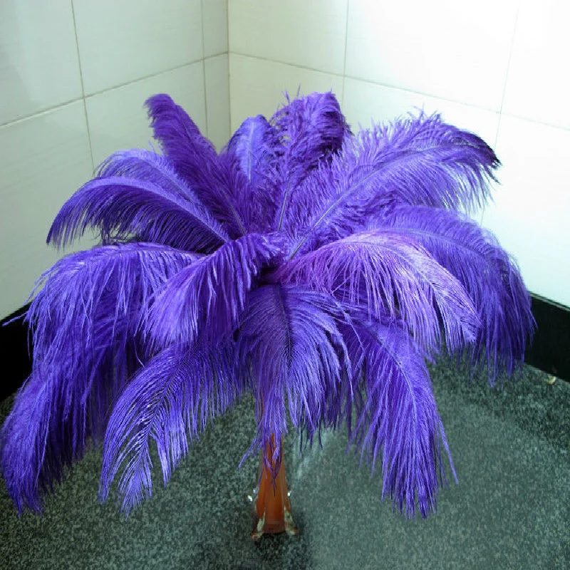 

Hot! Free shipping Wholesale 100 / lot purple ostrich feathers 16-18inches / 40-45cm DIY wedding Interior decorations