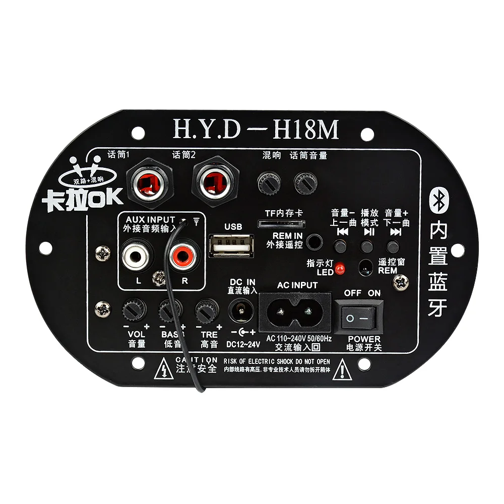 AIYIMA Mono Subwoofer Verstärker Bord Dual Mikrofon K Song Bluetooth Verstärker 30-150W Für 6-10 Zoll lautsprecher 220V 12V 24V