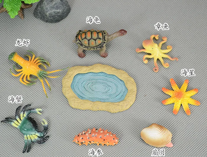 Simulation model of marine animal toy turtle Starfish squid sea life cucumber and lobster crab scallop