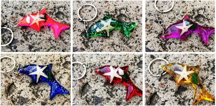 12 pcs Dolphin Style Accessories Magic Starfish Fashion Keychain