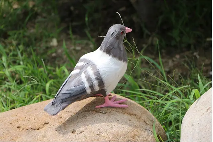 

new simulation pink mouth dove hard model polyethylene&furs gray peace bird toy about 20x12x18cm s2902