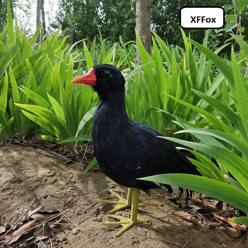 

new simulation black chicken model foam&furs real life chicken bird model gift about 40x30cm xf1053