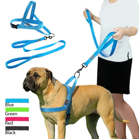Reflective Dog Harness and Leash for All Sizes PET ARTIST