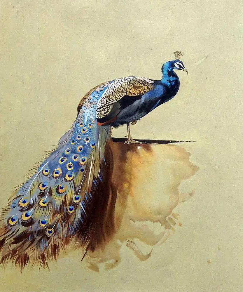 

Handpainted Canvas Animal Oil Painting for Kitchen Wall Decoration Art Peacock (Luxury Line) by Archibald Thorburn