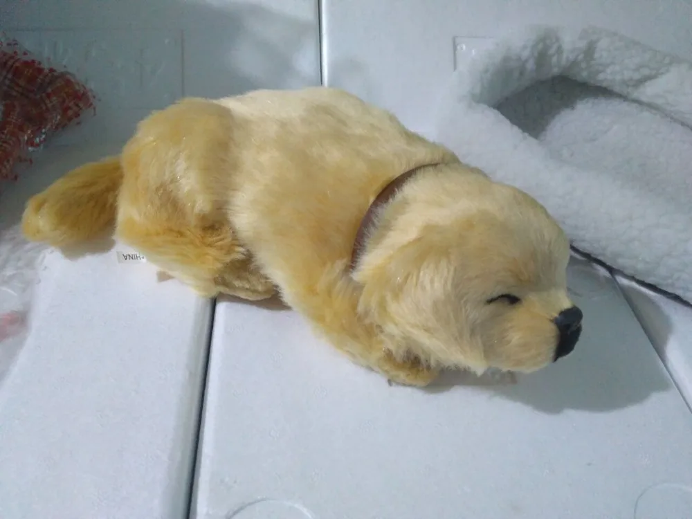 30x20x8cm barking sounds Golden Retriever dog model,polyethylene&furs manual handicraft car ornament home decoration a2210