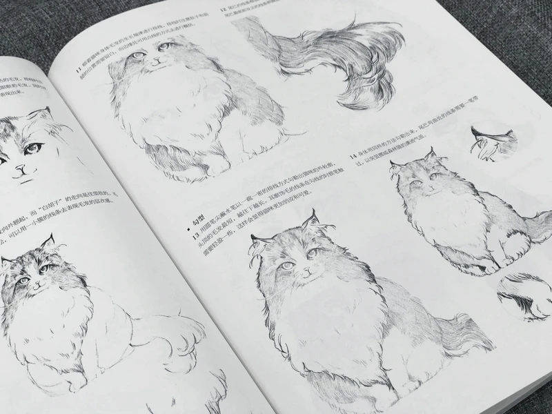 New Chinese Aesthetic Line Draft illustration Example Course Book Painting Technique Sketch Tutorial Book Coloring Book