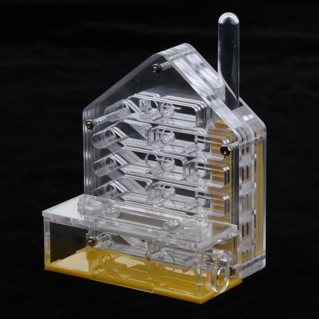 Clear Ant Feed Farm Formicarium Box Moisturizing 10x6x12cm