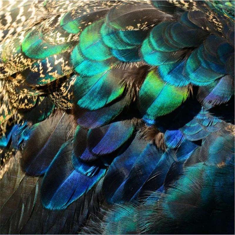 

wellyu papel parede Custom wallpaper HD peacock feathers wallpapers for living room papel de parede para quarto behang