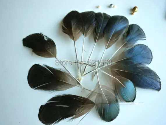 100Pcs/lot,5-9CM Shredded Nature Blue LADY AMHERST Pheasant Feathers,Loose Stripped Lady Amherst feathers,Small Feathers