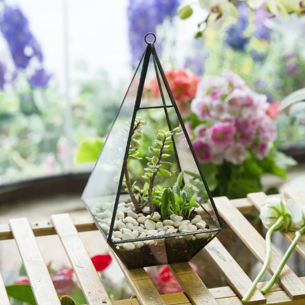 

Modern Pyramid Glass Geometric Terrarium Succulent Fern Moss Box Planter plastic Flower for Pot Gardening Decorations Holder