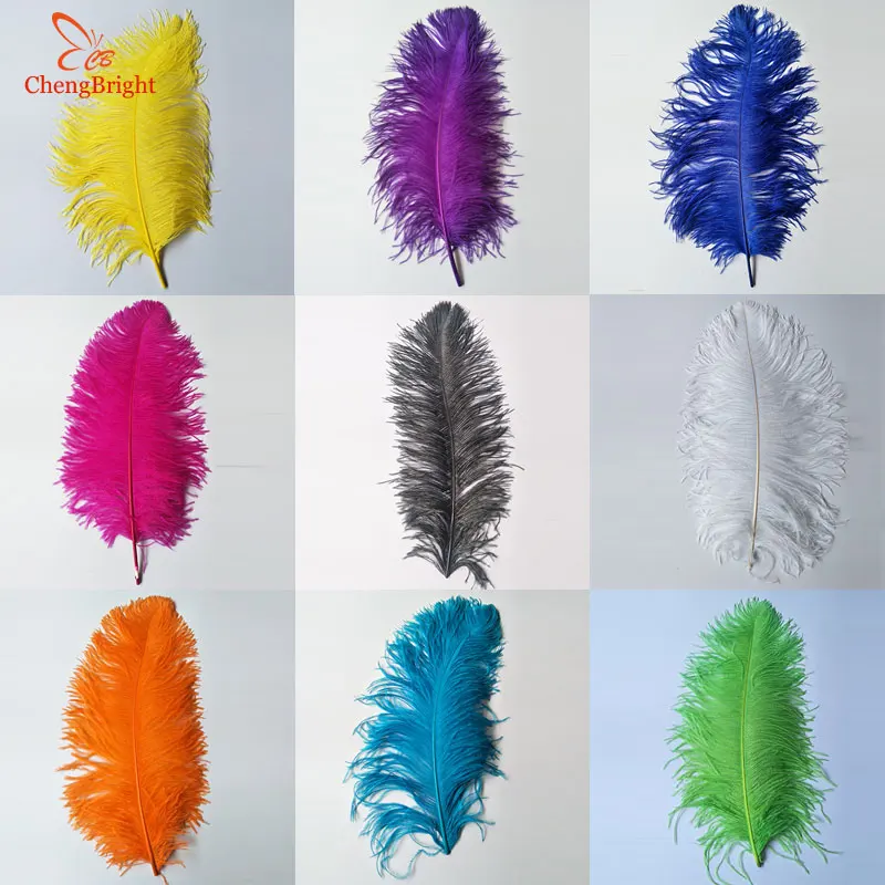 

CHENGBRIGHT 24-26-Inch(60-65CM) Big Pole Ostrich Feathers Natural Dyed Carnival decor Plumes for Crafts Party Wedding Decoration