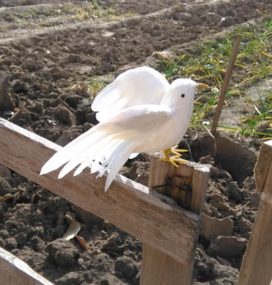 

artificial bird spreading wings white feathers bird 12x15cm handicraft prop,home garden decoration gift p1901