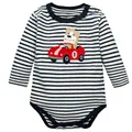 Coche para cachorros 07