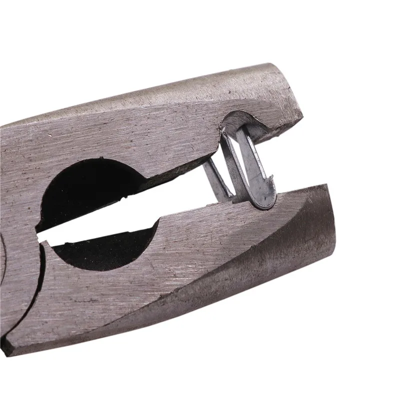 300 Pcs Cage Assembly Accessories Special Stainless Steel Buckle Nail Length 11mm 1 PACKAGE QUANTITY 285-310 PCS
